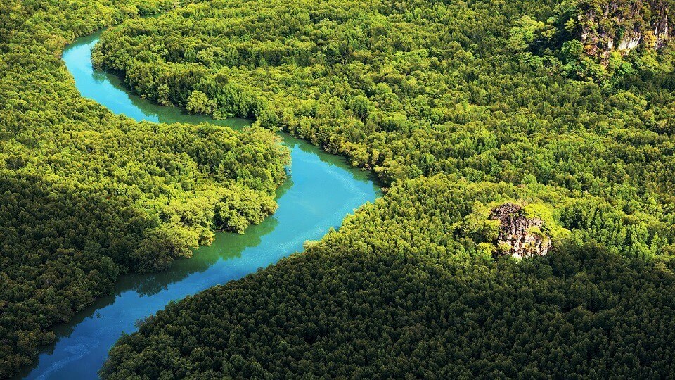 Four_Seasons_Langkawi_Malaysia_Yoyotravel_View_Mangrove_River