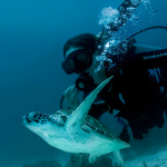 Amanpulo_Experiences_6_yoyotravel