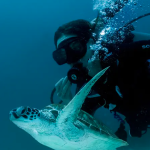 AMANPULO_DIVING2-yoyotravel