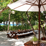 Amanpulo-PicnicGrove_yoyotravel