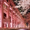 Mandarin_Oriental_Yoyotravel_Japan_Tokyo