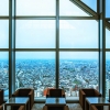 Park_Hyatt_Yoyotravel_Japan_Tokyo_4