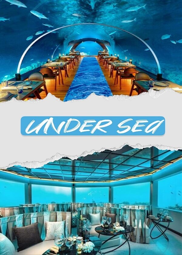 馬爾地夫6大海底餐廳 ~ 一生必須親身體驗的驚奇之旅